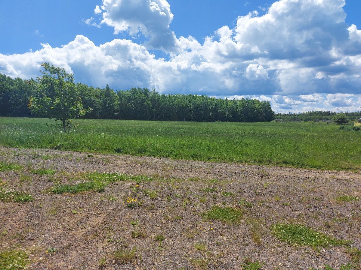 Over 500 Acres Of Farmland/ Woodland In Beersville