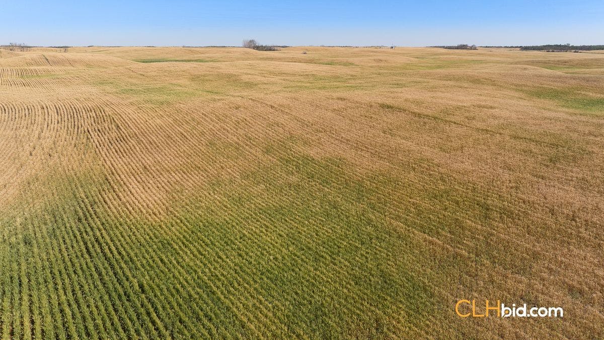 Selling Online Sept 25, 2024 - 778 Acres - Kinsella, AB