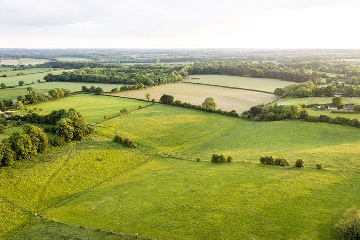 Farm Land For Lease In Waterloo