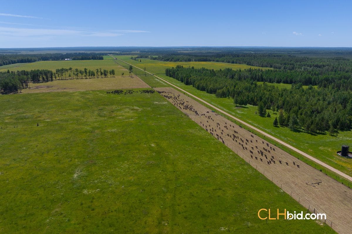 Selling Online Sep 20, 2022 - 7 Quarters & 2 Grazing Leases - Alberta