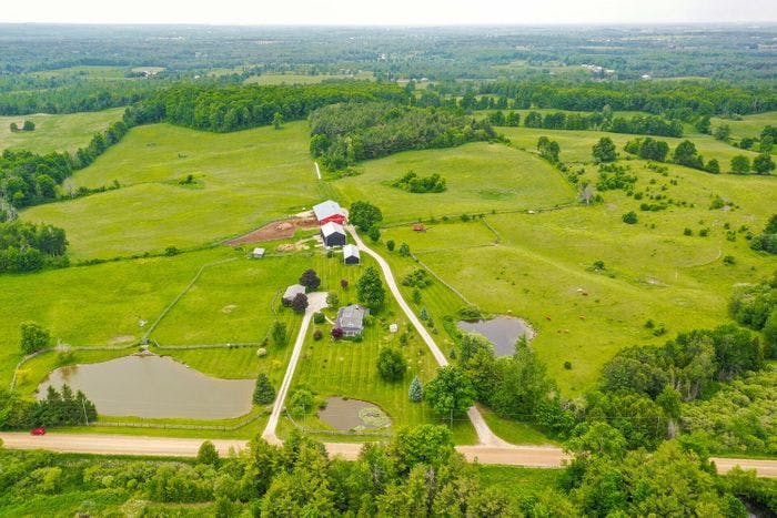 Scenic 95-acre hobby farm and a beautifully restored home
