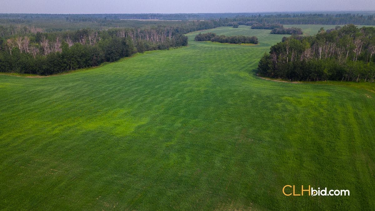 Selling Online October 18, 2023 - 143 Acres - Fairview, AB