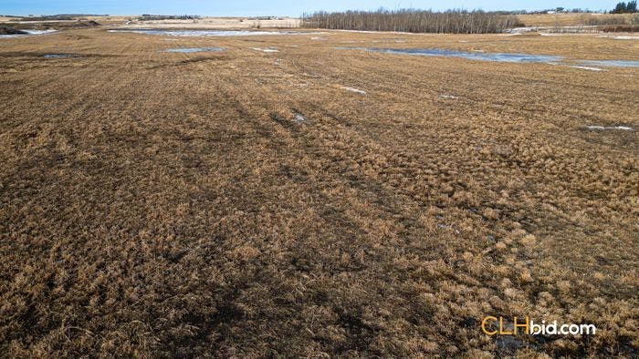 Selling Online May 30, 2024 - 160 Acres - Camrose, AB