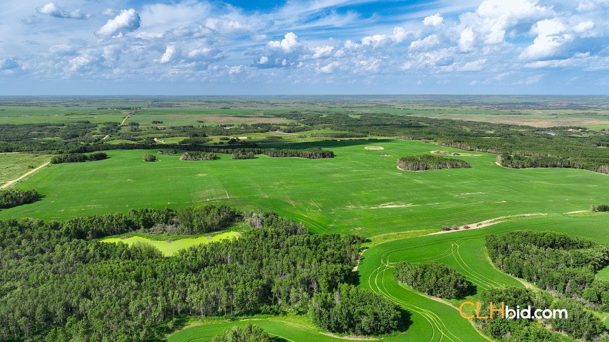Selling Online July 16, 2024 - 3 Quarters - Red Deer County, AB