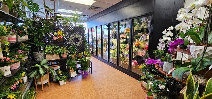Florist Business For Sale In Bolton