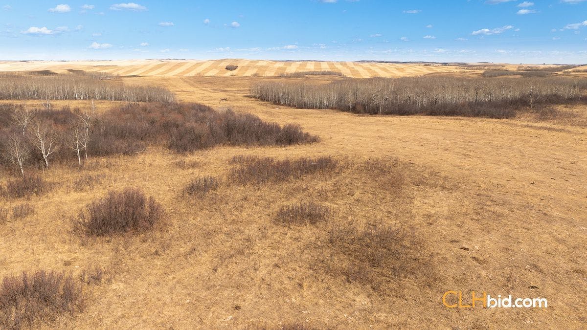 Selling Online May 28, 2024 - 319 Acres - Clandonald, AB
