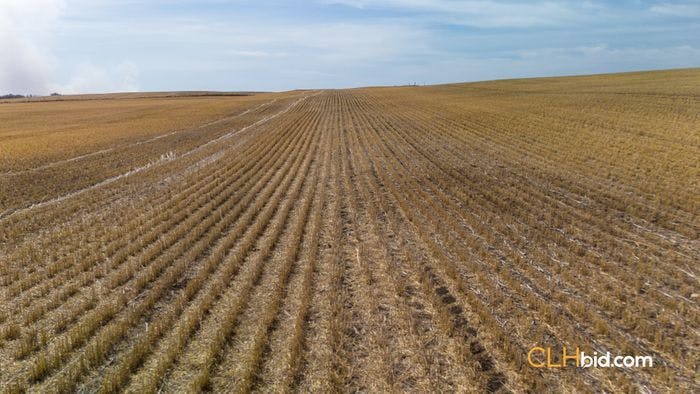 Selling Online July 11, 2024 - 317 Acres - Irma, AB