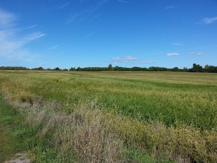 Prince Edward County Land For Sale In Barrie