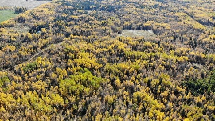 Two(2) - 20 Acre Lots For Sale In Wetaskiwin