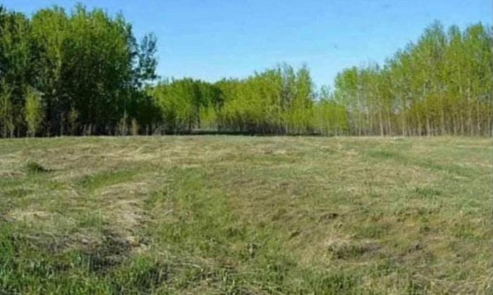 26.39 Acres Recreational Farm Land In Lac Ste Anne County
