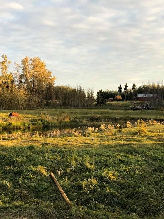 4.5 Acres Land For Sale In Stony Plain