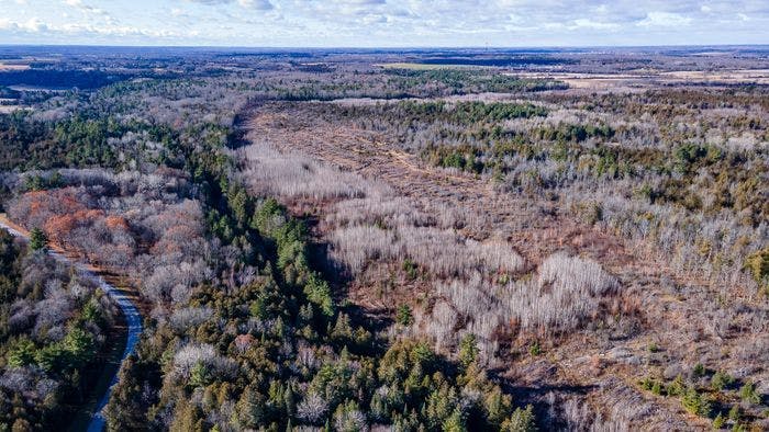 Almost 800 Acres of Land For Sale 